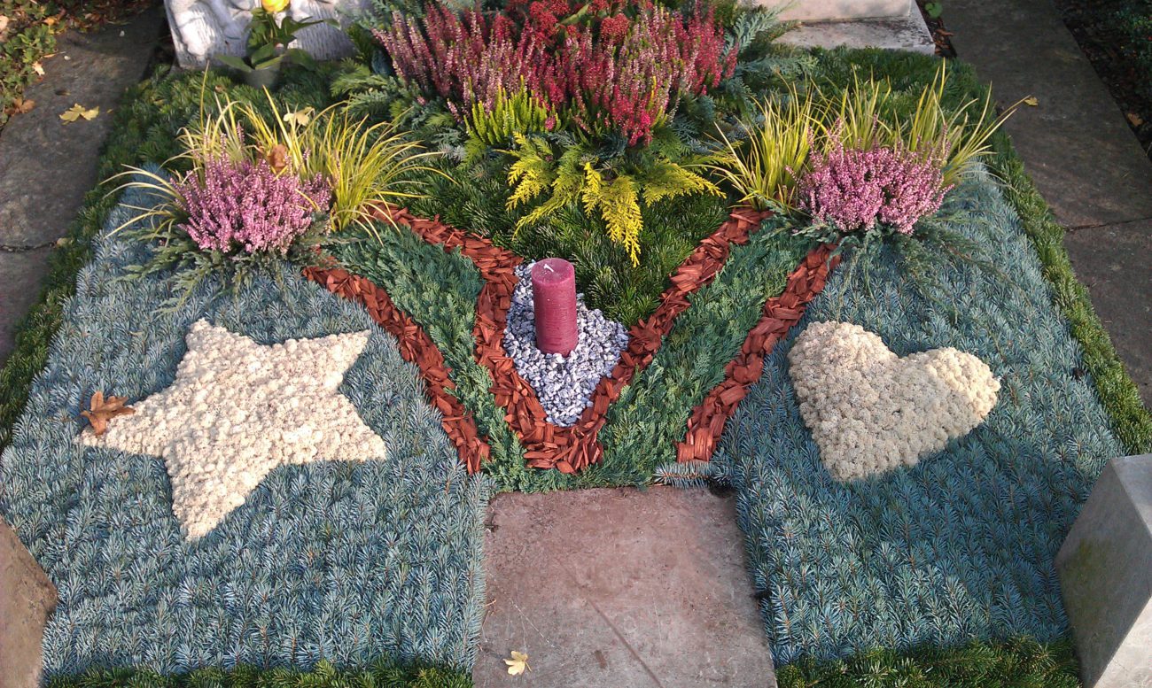 IMAG0204