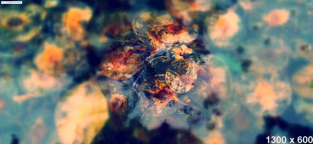 dummy-1300×600-Copper